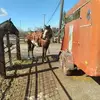 Robin Barr - @robin.barr1 - TikTok