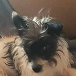 robin barrera quezada - @robin_el_perro21 - Instagram