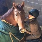 Robin Baskin - @robinbaskin - Instagram