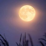 Robin Wilson Batts - @rbbatts - Instagram