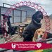 Robin Beth Bauer - Facebook