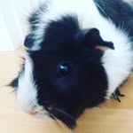Robin baumann - @robin_aka_mksgamingbrueder - Instagram