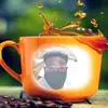 Robin Beane - @robinbeane_1446 - TikTok