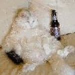 Robin Bear - @robinbear57 - Instagram