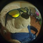 robin_bear - @rob_inbear - Instagram