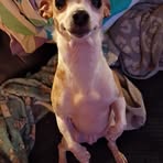 Robin Beaver - Facebook