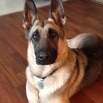 Robin Beavers - @robin_chief - Instagram