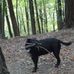 Robin Beckett - Facebook