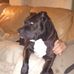 Robin Bedford - Facebook
