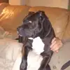 robinbedford8 - @robinbedford8 - TikTok