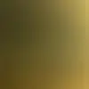 Robbin Beebe - @robbin.beebe - TikTok