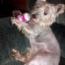 Robin Beebe - Facebook