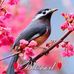 Robin Beeman - Facebook