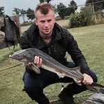 Robin van den Belt - @robinvandenbelt - Instagram