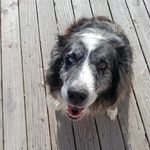 Robin Walsh Benner - @robinbenner - Instagram