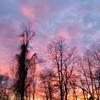 Robin Bennett - @robin.bennett68 - TikTok