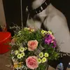 Robin Benoit - @user699202569 - TikTok