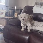 Robin Benson - @robinbenson996 - Instagram