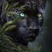 Robin Benson - Facebook