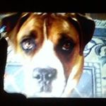 Robin Benson - @robin_benson - Instagram