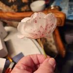 Robin Benson - @benson4all - Instagram