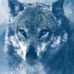 Robin Benson - Facebook