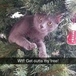Robin Benson - @robin.benson.3975 - Instagram