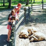 Robin Benson - @flick_chick4340 - Instagram