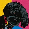 robinbenson84 - @robinbenson84 - TikTok