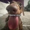 Robin Honberlin - @robin.honberlin - TikTok