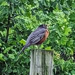 Robin Berman - @robin.berman.148 - Instagram