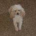 Robin Bixler Baldwin - Facebook