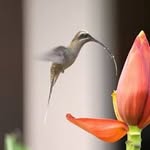 Robin Blain - @robinblain - Instagram