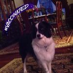 Robin Blatt - @blatt414 - Instagram