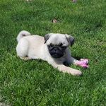 Robin Blaylock - @patchkiss2002 - Instagram