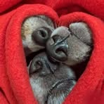 Robin Blocker - Facebook