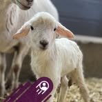 Robin Blocker - Facebook