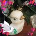 Robin Bode - Facebook