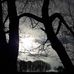 Robin Bode - Facebook