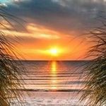 Robin Boehm Higgins - @robin_higgins - Instagram