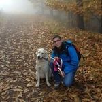 Robin Böhm - @_robin_boehm_ - Instagram