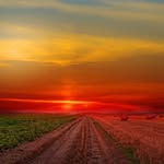 Bogdan Ivan - @robin_bogdan_ivan - Instagram