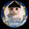 robin boger - @robin.boger - TikTok