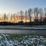 Robin_Bogers - @robin_bogers1 - Instagram