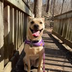 Robin Smith Boger - @bankerrobininrh - Instagram