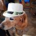 Robin Bohlin - Facebook