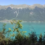 Robin - @robin.bohler_2 - Instagram