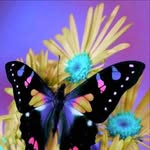 Robin Boland - @robin.boland.5203 - Instagram