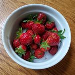 Robin Newman Boles - @sustainaboles - Instagram