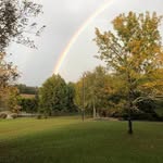 Robin Bolin Bramblett - @bolinrobin - Instagram